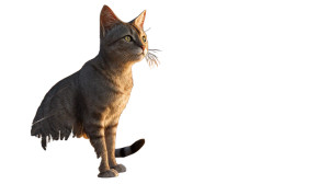 African Wildcat Portrait Vinyl Car Decal Sticker – Waterproof & UV-Resistant African Wildcat Portrait Vinyl Car Decal Sticker – Waterproof & UV-Resistant