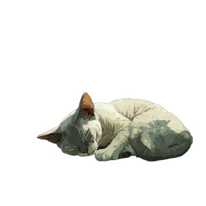 Sleeping Devon Rex Vinyl Car Decal Sticker – Waterproof & UV-Resistant 