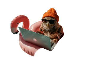 Owl With Beanie Vinyl Car Decal Sticker – Waterproof & UV-Resistant 