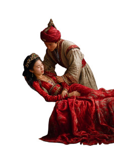 Chinese Princess Awakening Vinyl Car Decal Sticker – Waterproof & UV-Resistant  Chinese Princess Awakening Vinyl Car Decal Sticker – Waterproof & UV-Resistant