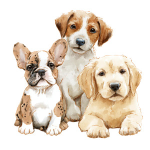 Adorable Puppies Illustration Vinyl Car Decal Sticker – Waterproof & UV-Resistant Adorable Puppies Illustration Vinyl Car Decal Sticker – Waterproof & UV-Resistant
