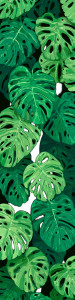 Monstera Leaves Pattern Vinyl Car Decal Sticker – Waterproof & UV-Resistant 