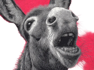 Screaming Donkey Vinyl Car Decal Sticker – Waterproof & UV-Resistant 