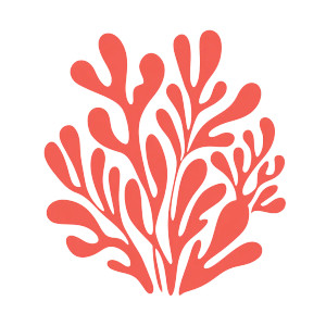 Stylized Coral Reef Vinyl Car Decal Sticker – Waterproof & UV-Resistant 