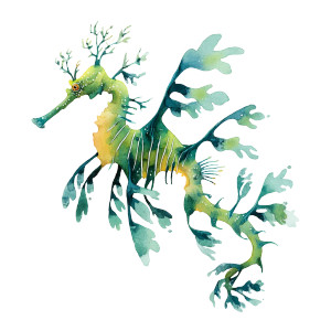 Leafy Seadragon Illustration Vinyl Car Decal Sticker – Waterproof & UV-Resistant 