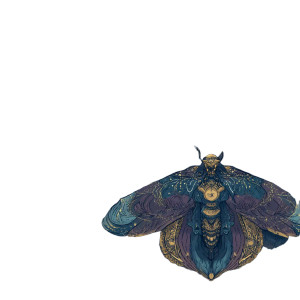 Celestial Moth V3 Vinyl Car Decal Sticker – Waterproof & UV-Resistant 