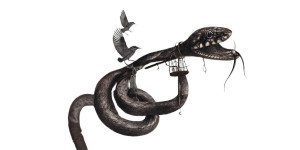 Serpent'S Transformation Vinyl Car Decal Sticker – Waterproof & UV-Resistant 