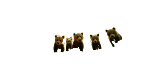 Baby Brown Bears Vinyl Car Decal Sticker – Waterproof & UV-Resistant 