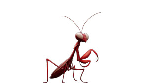 Tiny Red Mantis Vinyl Car Decal Sticker – Waterproof & UV-Resistant 