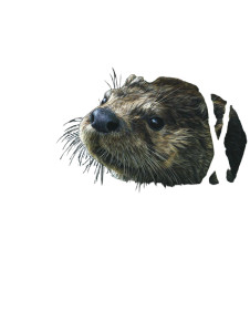 Playful River Otter Vinyl Car Decal Sticker – Waterproof & UV-Resistant 
