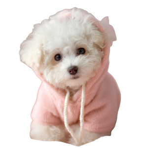 Fluffy Bichon Puppy Vinyl Car Decal Sticker – Waterproof & UV-Resistant 