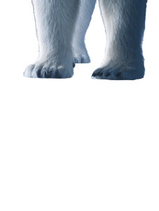 Polar Bear Reflection Vinyl Car Decal Sticker – Waterproof & UV-Resistant 