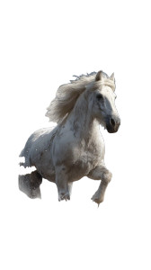 Galloping White Stallion Vinyl Car Decal Sticker – Waterproof & UV-Resistant 