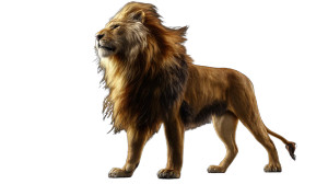Majestic Lion V11 Vinyl Car Decal Sticker – Waterproof & UV-Resistant Majestic Lion V11 Vinyl Car Decal Sticker – Waterproof & UV-Resistant