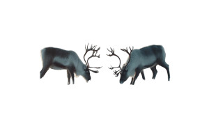 Grazing Reindeer Herd Vinyl Car Decal Sticker – Waterproof & UV-Resistant Grazing Reindeer Herd Vinyl Car Decal Sticker – Waterproof & UV-Resistant