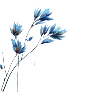 Dreamy Grass Vinyl Car Decal Sticker – Waterproof & UV-Resistant 