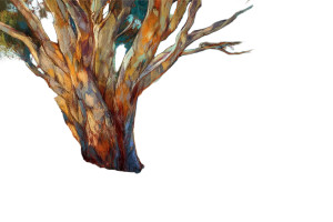 Pohutukawa Tree Art Vinyl Car Decal Sticker – Waterproof & UV-Resistant 