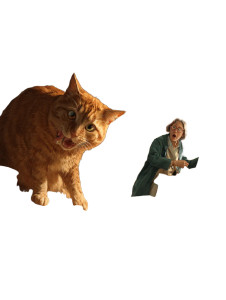 Sausage Thief Cat Vinyl Car Decal Sticker – Waterproof & UV-Resistant 