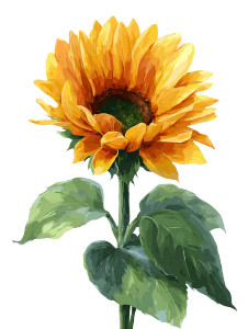 Sunflower Clipart V2 Vinyl Car Decal Sticker – Waterproof & UV-Resistant 