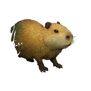 Capybara V2 Vinyl Car Decal Sticker – Waterproof & UV-Resistant 