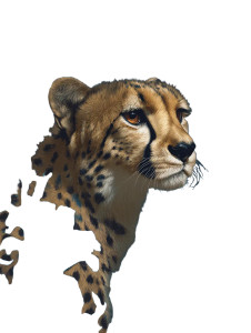 Cheetah In Jungle Vinyl Car Decal Sticker – Waterproof & UV-Resistant 