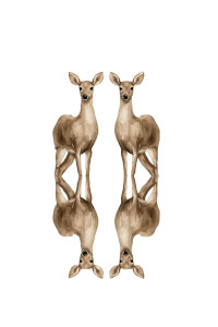 Symmetrical Watercolor Deer Vinyl Car Decal Sticker – Waterproof & UV-Resistant Symmetrical Watercolor Deer Vinyl Car Decal Sticker – Waterproof & UV-Resistant