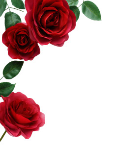 Red Roses Elegance Vinyl Car Decal Sticker – Waterproof & UV-Resistant 