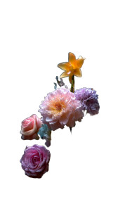 Exotic Flowers Display Vinyl Car Decal Sticker – Waterproof & UV-Resistant 