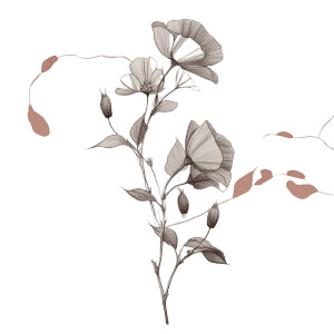 Poppy Vine Vinyl Car Decal Sticker – Waterproof & UV-Resistant 