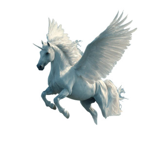 Snow-White Pegasus Vinyl Car Decal Sticker – Waterproof & UV-Resistant 