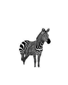 Surreal Zebra Art Vinyl Car Decal Sticker – Waterproof & UV-Resistant Surreal Zebra Art Vinyl Car Decal Sticker – Waterproof & UV-Resistant