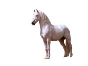 Sleek White Horse Vinyl Car Decal Sticker – Waterproof & UV-Resistant 