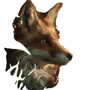 The Fox V2 Vinyl Car Decal Sticker – Waterproof & UV-Resistant 