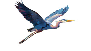 Blue Heron Painting Vinyl Car Decal Sticker – Waterproof & UV-Resistant 