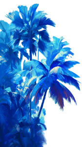 Blue Tropical Palms Vinyl Car Decal Sticker – Waterproof & UV-Resistant 
