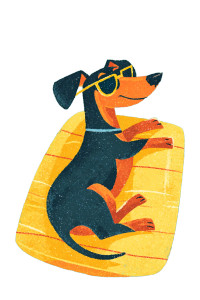 Dachshund On Float Vinyl Car Decal Sticker – Waterproof & UV-Resistant Dachshund On Float Vinyl Car Decal Sticker – Waterproof & UV-Resistant