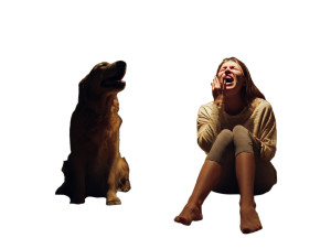 Emotional Night Scene Vinyl Car Decal Sticker – Waterproof & UV-Resistant  Emotional Night Scene Vinyl Car Decal Sticker – Waterproof & UV-Resistant