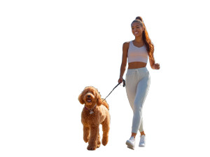 Woman Walking Dog V7 Vinyl Car Decal Sticker – Waterproof & UV-Resistant 