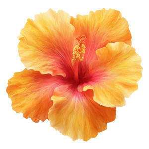 Hawaiian Hibiscus Flower Vinyl Car Decal Sticker – Waterproof & UV-Resistant Hawaiian Hibiscus Flower Vinyl Car Decal Sticker – Waterproof & UV-Resistant