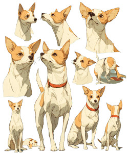 Chihuahua Character Book Vinyl Car Decal Sticker – Waterproof & UV-Resistant 