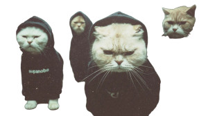 Angry Hoodie Cats V30 Vinyl Car Decal Sticker – Waterproof & UV-Resistant Angry Hoodie Cats V30 Vinyl Car Decal Sticker – Waterproof & UV-Resistant