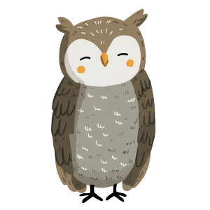 Cute Owl Logo Vinyl Car Decal Sticker – Waterproof & UV-Resistant Cute Owl Logo Vinyl Car Decal Sticker – Waterproof & UV-Resistant