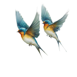 Summer Birds Flight Vinyl Car Decal Sticker – Waterproof & UV-Resistant Summer Birds Flight Vinyl Car Decal Sticker – Waterproof & UV-Resistant