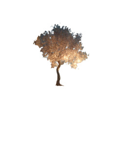 Crystal Tree Dawn Vinyl Car Decal Sticker – Waterproof & UV-Resistant 