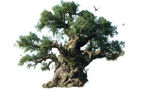 Ancient Epic Tree Vinyl Car Decal Sticker – Waterproof & UV-Resistant Ancient Epic Tree Vinyl Car Decal Sticker – Waterproof & UV-Resistant