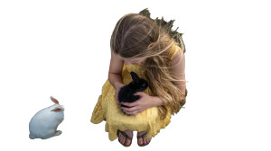 Girl With Rabbits V2 Vinyl Car Decal Sticker – Waterproof & UV-Resistant 