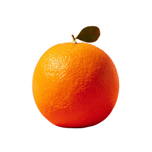 Orange Fruit V2 Vinyl Car Decal Sticker – Waterproof & UV-Resistant 