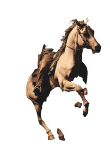 Dramatic Cowboy Ride Vinyl Car Decal Sticker – Waterproof & UV-Resistant 