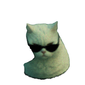 Angry Sunglasses Cat Vinyl Car Decal Sticker – Waterproof & UV-Resistant 
