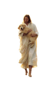 Jesus With Puppy V2 Vinyl Car Decal Sticker – Waterproof & UV-Resistant 